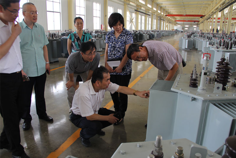 煙臺經信委領導一行到我公司交流考察